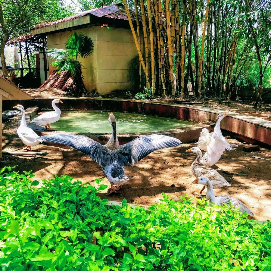 Hotel Dew Drops Boutique Retreat Igatpuri Esterno foto